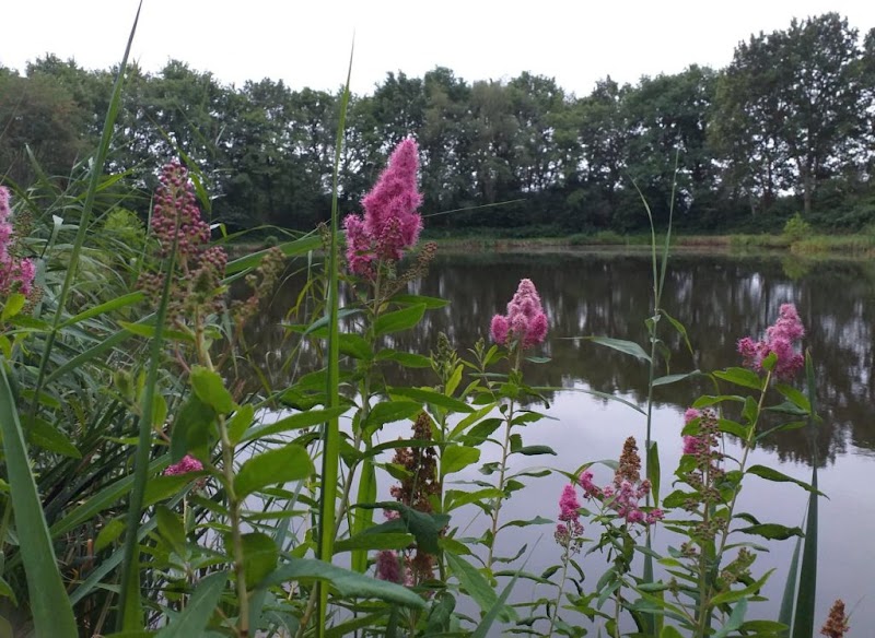 Hengelsportvereniging "De Leugenaar" hengelsportwinkel in Dalen