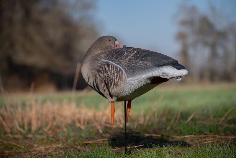 JVS Global Outdoor B.V. | Jachtwinkel en Warmtebeeldspecialist