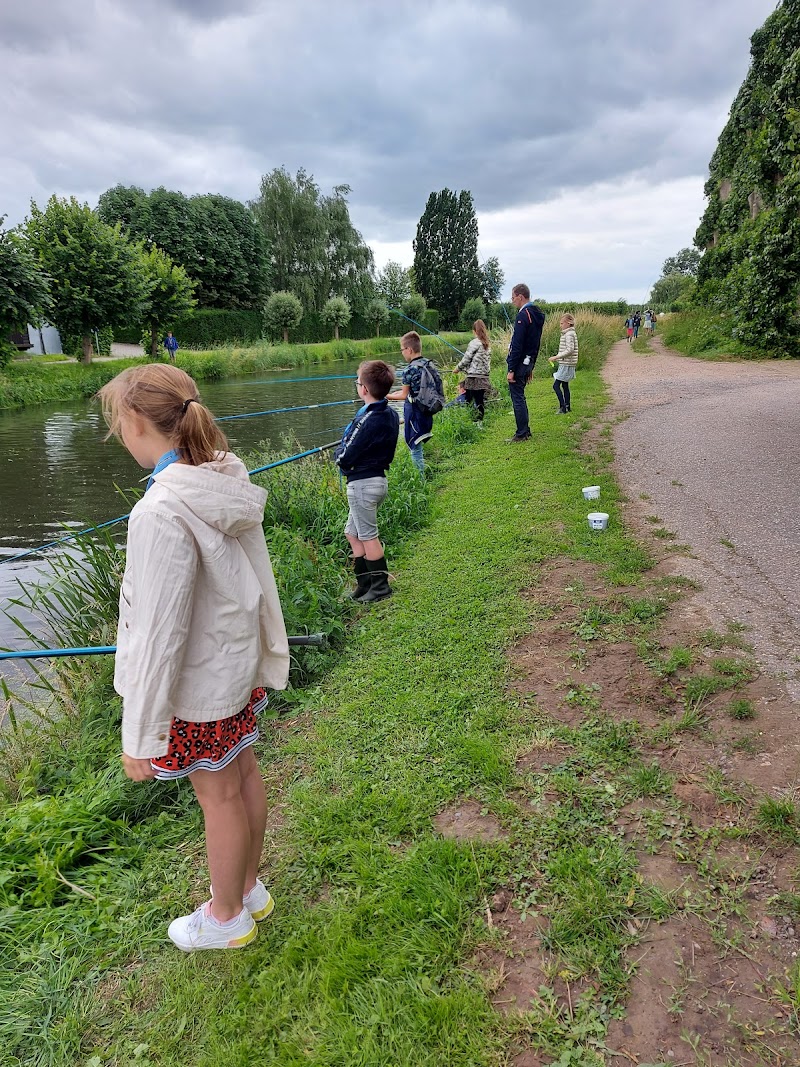 Timmer Hengelsport hengelsportwinkel