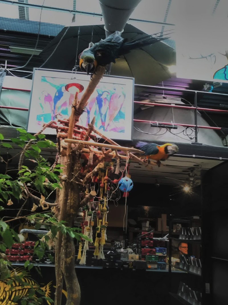 Bever Hengelsport hengelsportwinkel in Willebroek