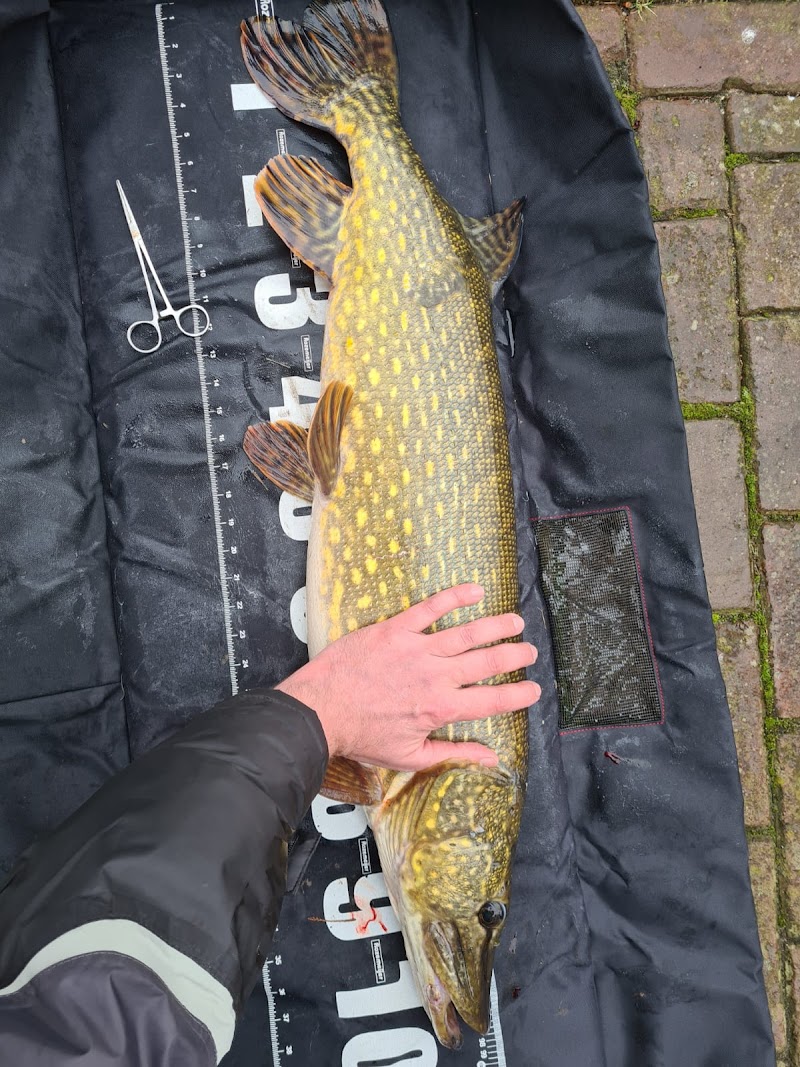 Visbeer.nl hengelsportwinkel