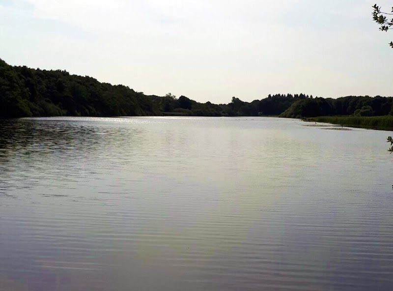 NVV Boilies hengelsportwinkel