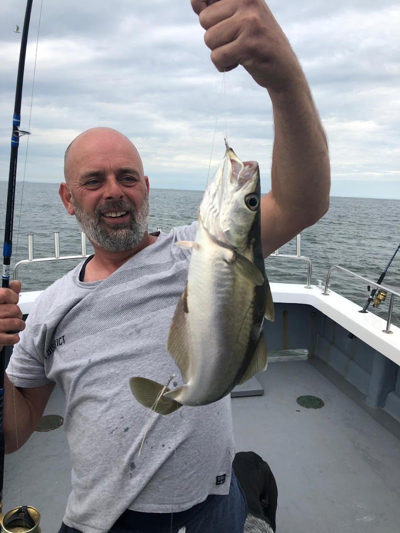 IJmuiden Zeevissen Infinity