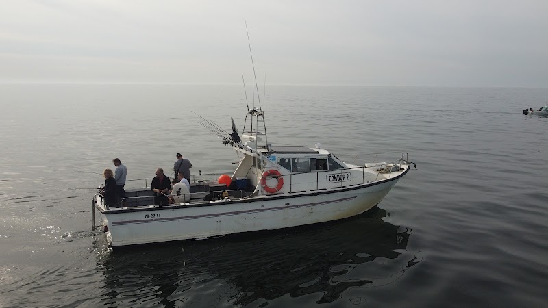 Sport vissen IJmuiden Jelle Visser Sportvisserij Zeevissen in IJmuiden Bootverhuur / Groepen vanaf 8p