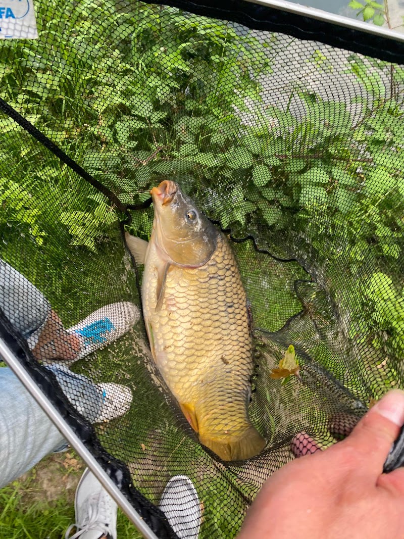 Hengelsport kanaalzicht hengelsportwinkel