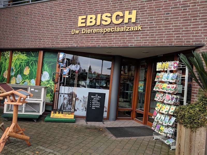 Discus Ebisch