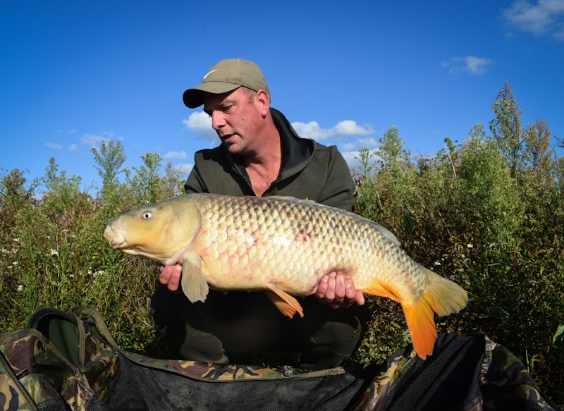 Riverkings Carpfishing hengelsportwinkel