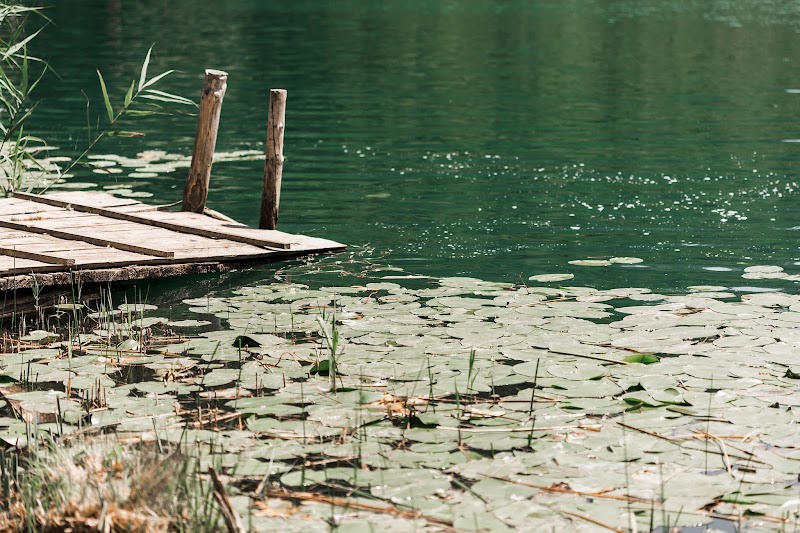 FishingShopXL [Online shop] hengelsportwinkel