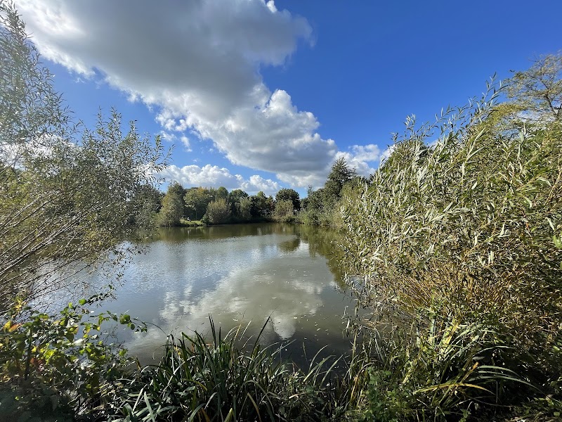Koningklijke Erkende Veghelse Hengelsport Vereniging hengelsportwinkel