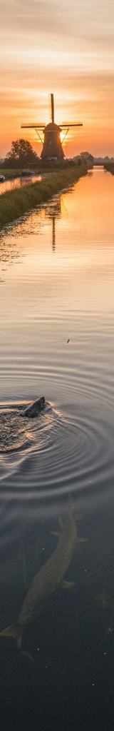 De beste snoekwateren van Nederland