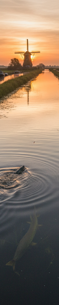 De beste snoekwateren van Nederland