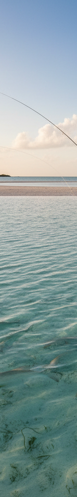 Bonefishing op de Bahama's