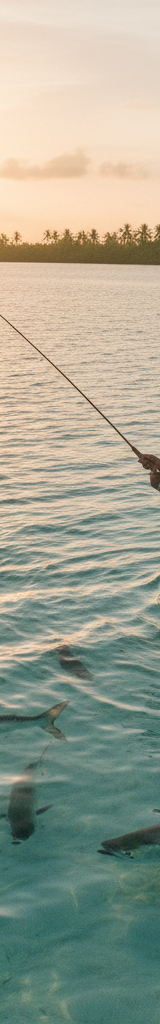 Sportvissen in de Florida Keys