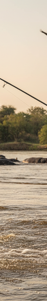 Tijgervis vangen op de Zambezi