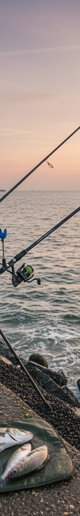 Zeevissen vanaf de Zeeuwse kust