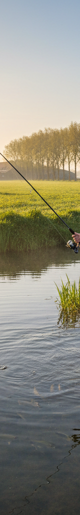 Voorjaarsvissen - de beste technieken