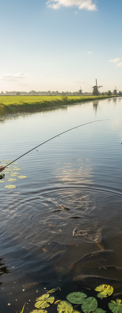 Zomervissen - topstrategieën voor warme maanden