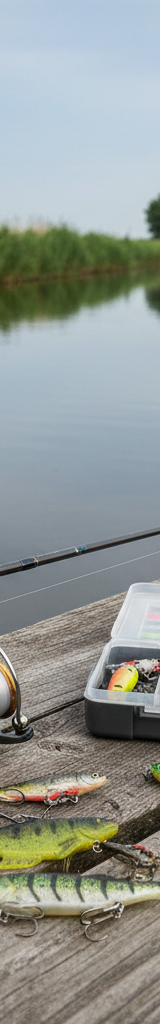 Essentiële uitrusting voor snoekbaarsvissen