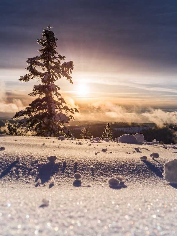 Wintervissen - zo vang je vis in koude maanden