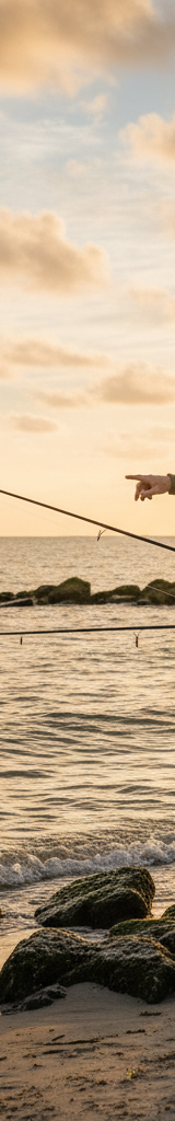 Zeevissen met een visgids in Zeeland