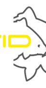 Avid Carp logo