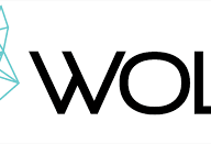 Wolf International logo