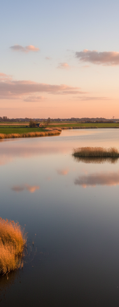 Vissen bij Gaasperplas Amsterdam
