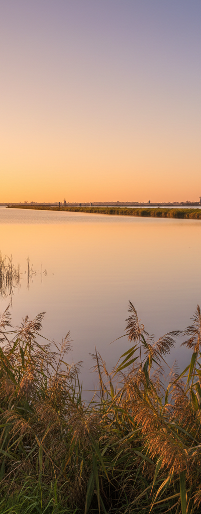 Vissen bij Markermeer bij Hoorn