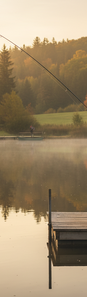 Essentiële visknopen: de complete gids voor elke beginner