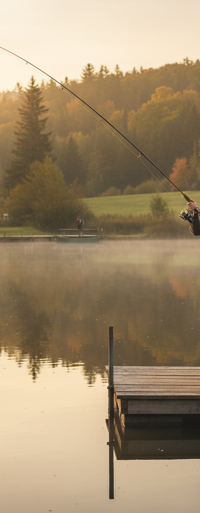 Essentiële visknopen: de complete gids voor elke beginner
