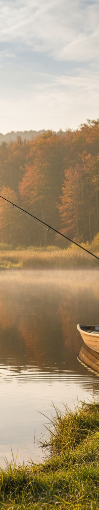 Forelvissen en ecologie: Temperatuur en zuurstofgehalte