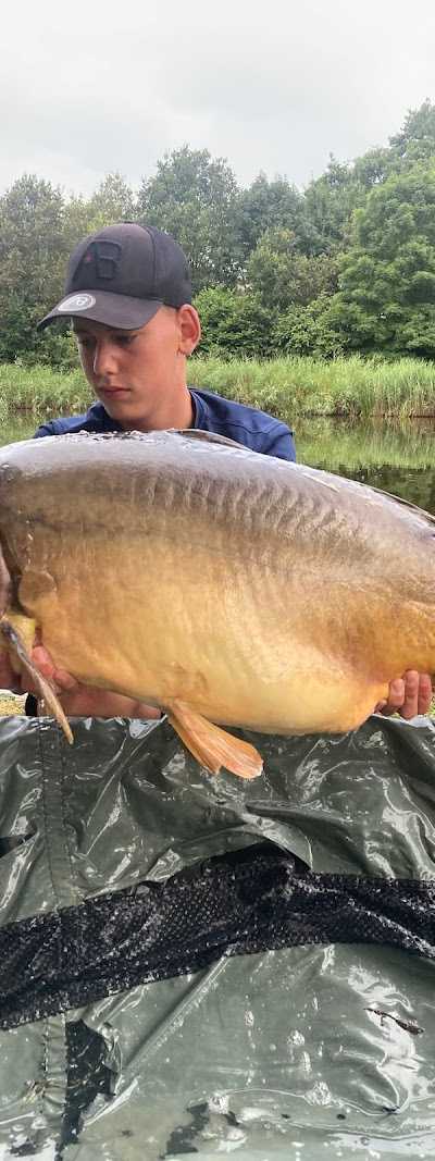 Bait Box Hengelsport foto 4