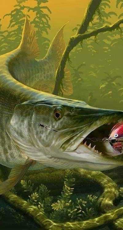 RTV Hengelsport foto 3