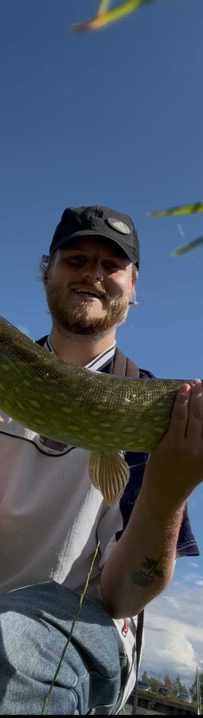 Hengelsport het Gooi🎣 foto 4