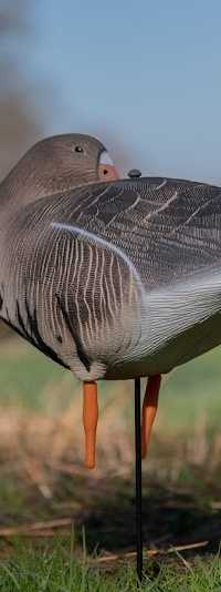 JVS Global Outdoor B.V. | Jachtwinkel en Warmtebeeldspecialist