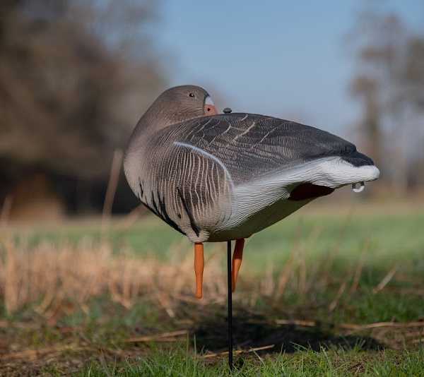 JVS Global Outdoor B.V. | Jachtwinkel en Warmtebeeldspecialist