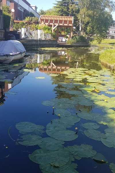 Bootje Westland foto 4