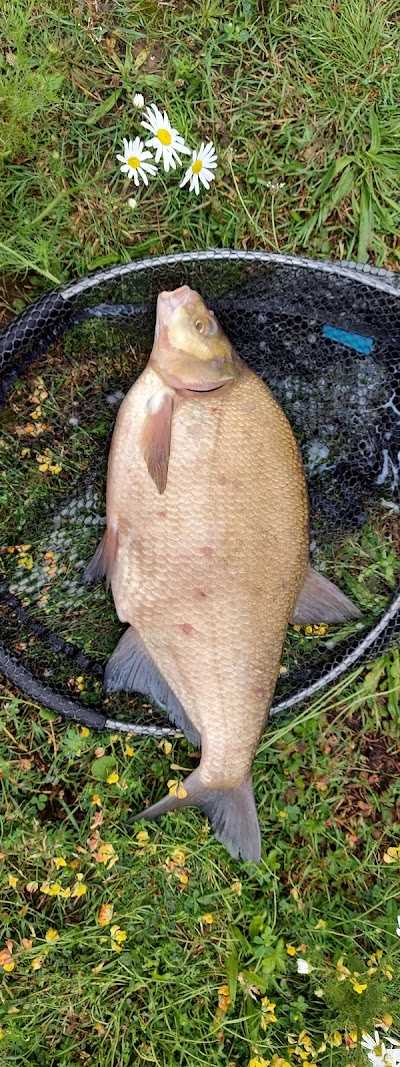 Timmer Hengelsport foto 2