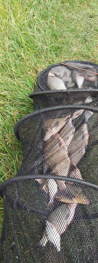 Timmer Hengelsport foto 3