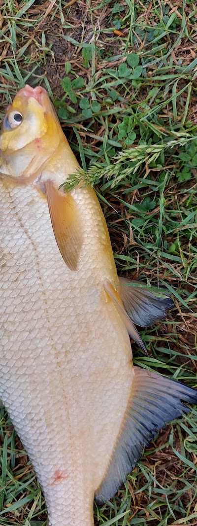 Timmer Hengelsport foto 4