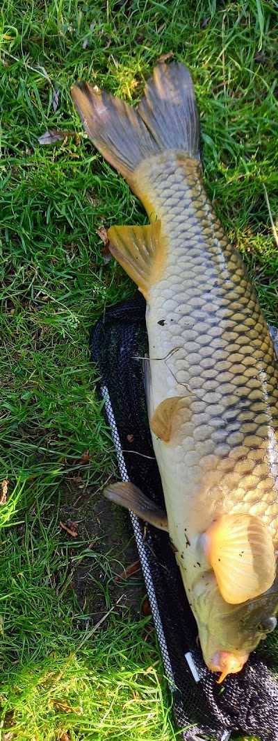 Timmer Hengelsport foto 5