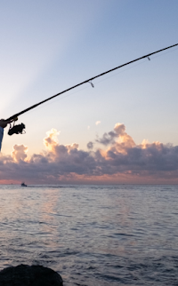 Viskick.nl - Alles voor de Hengelsport