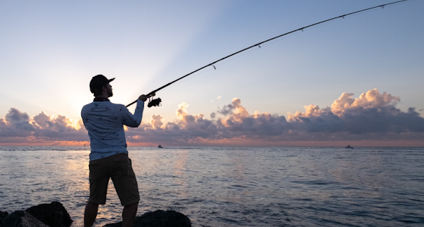 Viskick.nl - Alles voor de Hengelsport