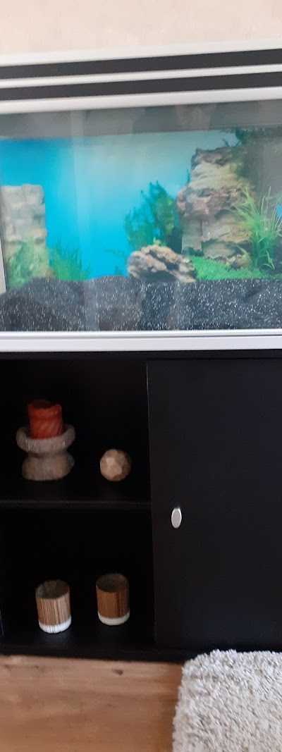 Hengelsport Westland foto 4