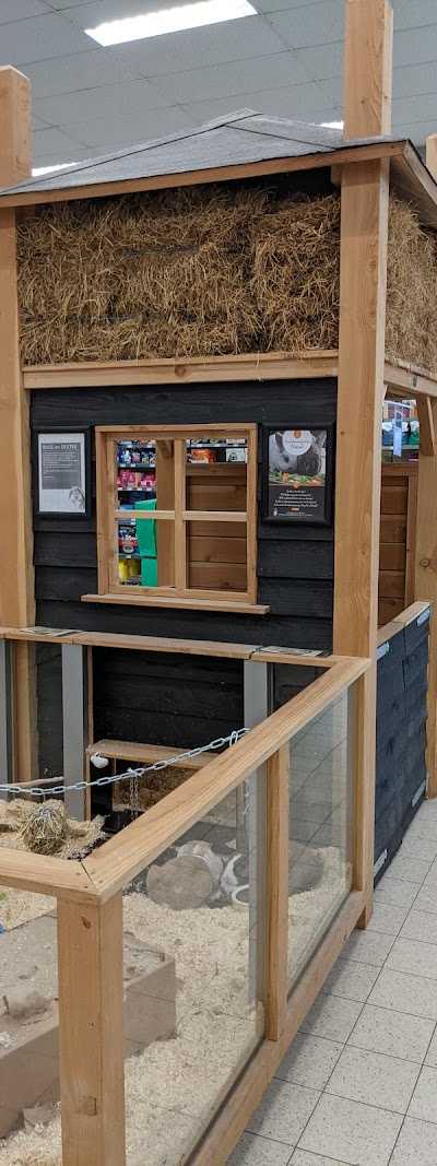 Welkoop Grave foto 4