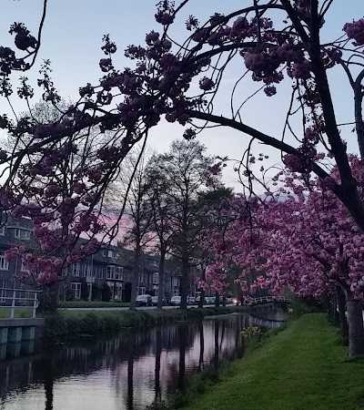 Koster Hengelsport foto 3