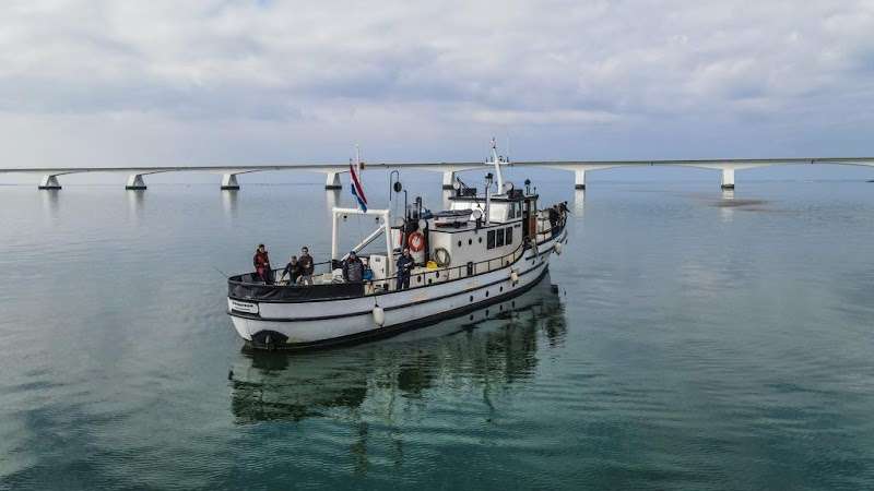 Sportvisserij Zuiderzee