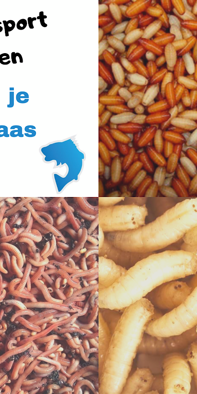 Hengelsport Huizen foto 3