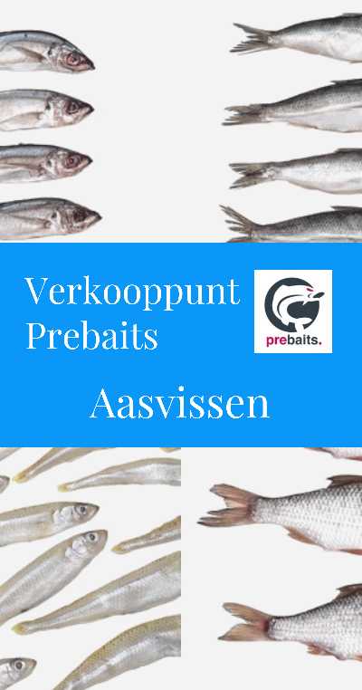 Hengelsport Huizen foto 4