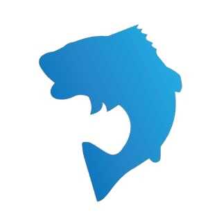 Hengelsport Huizen foto 5